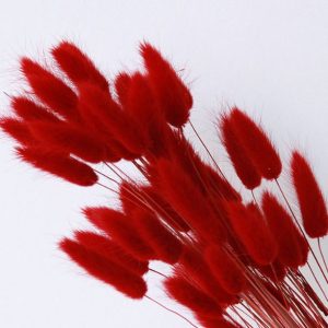 Red Bunny Tail per piece